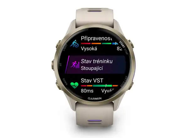 Garmin Forerunner 970 chytré hodinky French Grey/Indigo