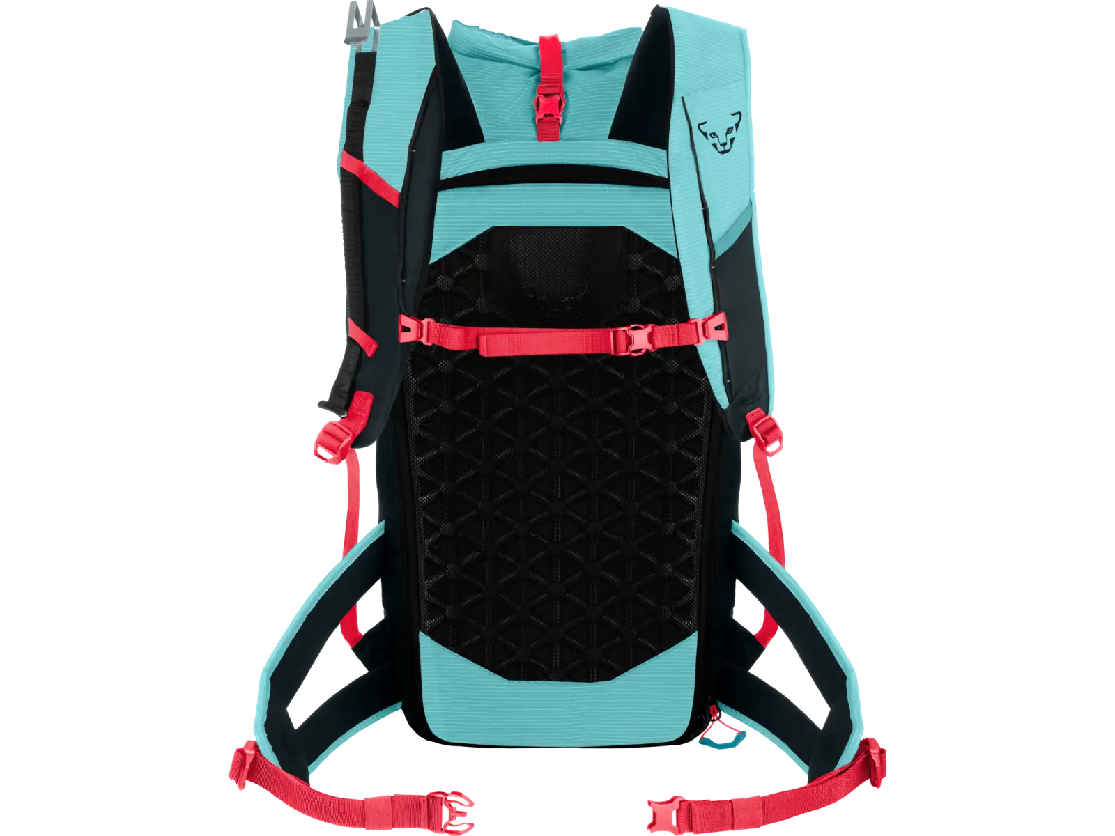 Dynafit Radical 30+ dámský batoh 30 l Marine Blue/Blueberry