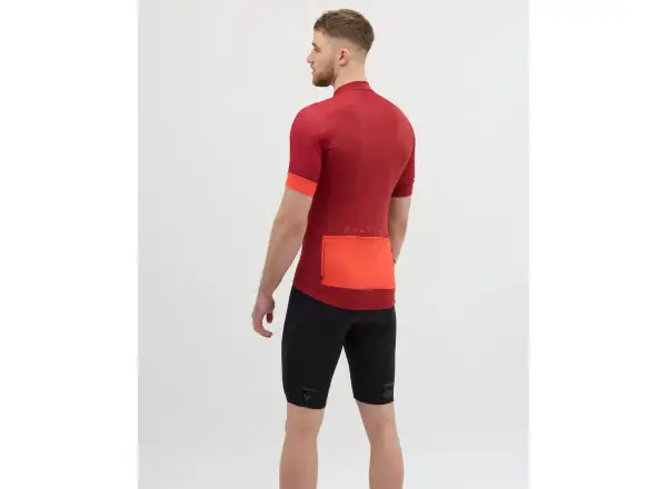 Silvini Carnio pánský dres krátký rukáv Merlot/Ruby