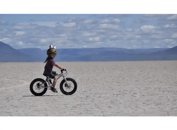 Early Rider Seeker X16 dětské kolo Violet Haze