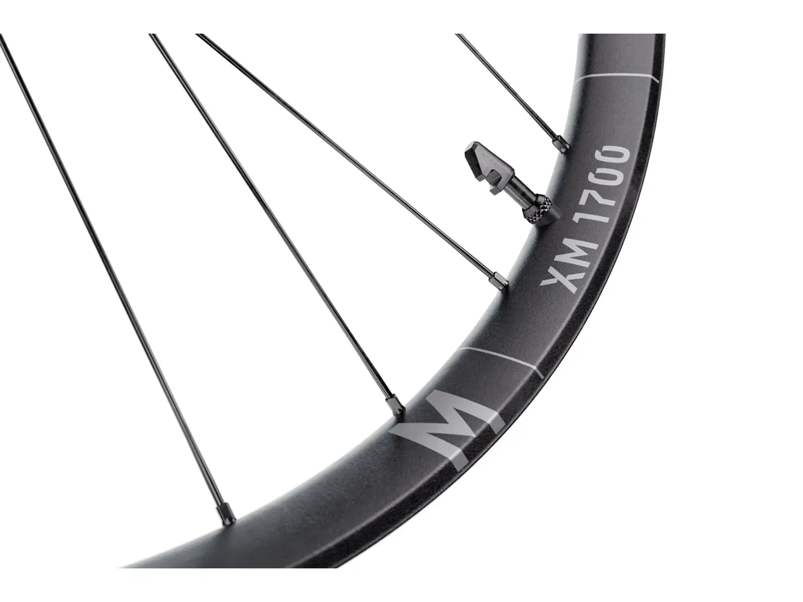 DT Swiss XM 1700 Spline 30 DB Black Center Lock 12/148 zadní kolo - Nebaleno