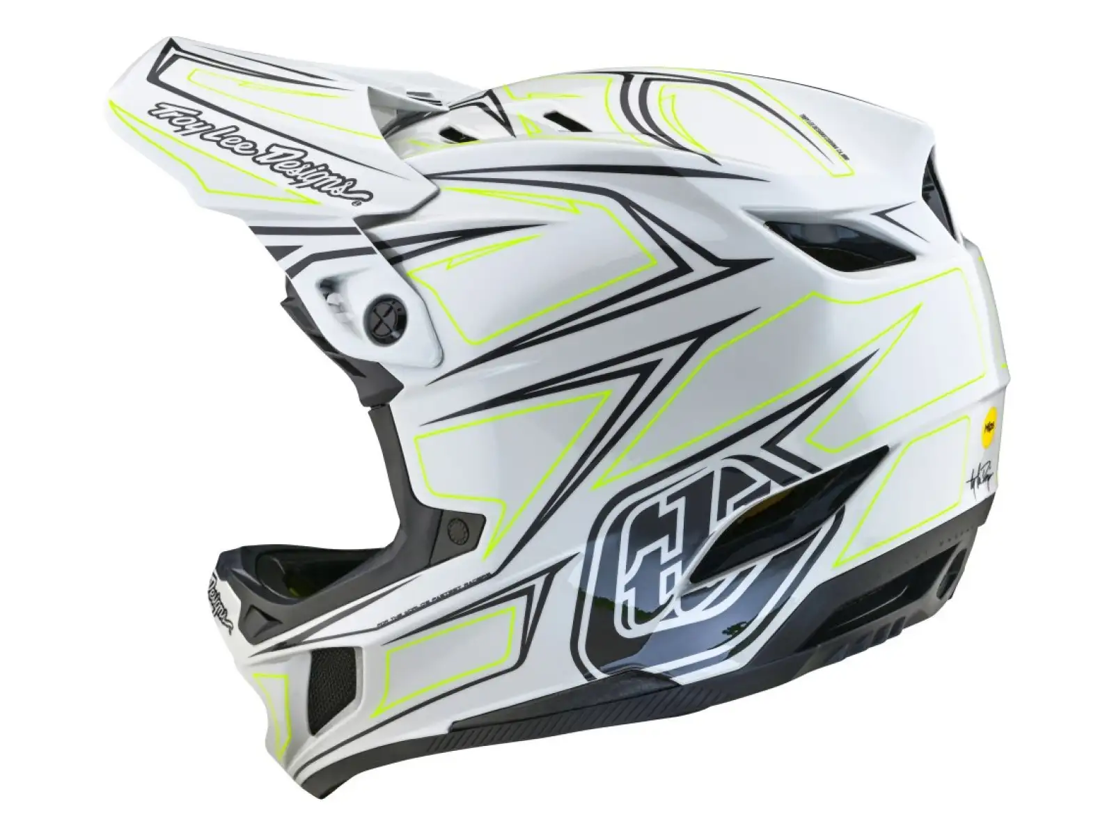 Troy Lee Designs D4 Composite MIPS Pinned přilba Light Gray