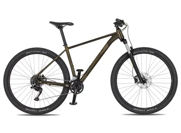 4Ever Frontbee XCM 29" horské kolo Gold galaxy