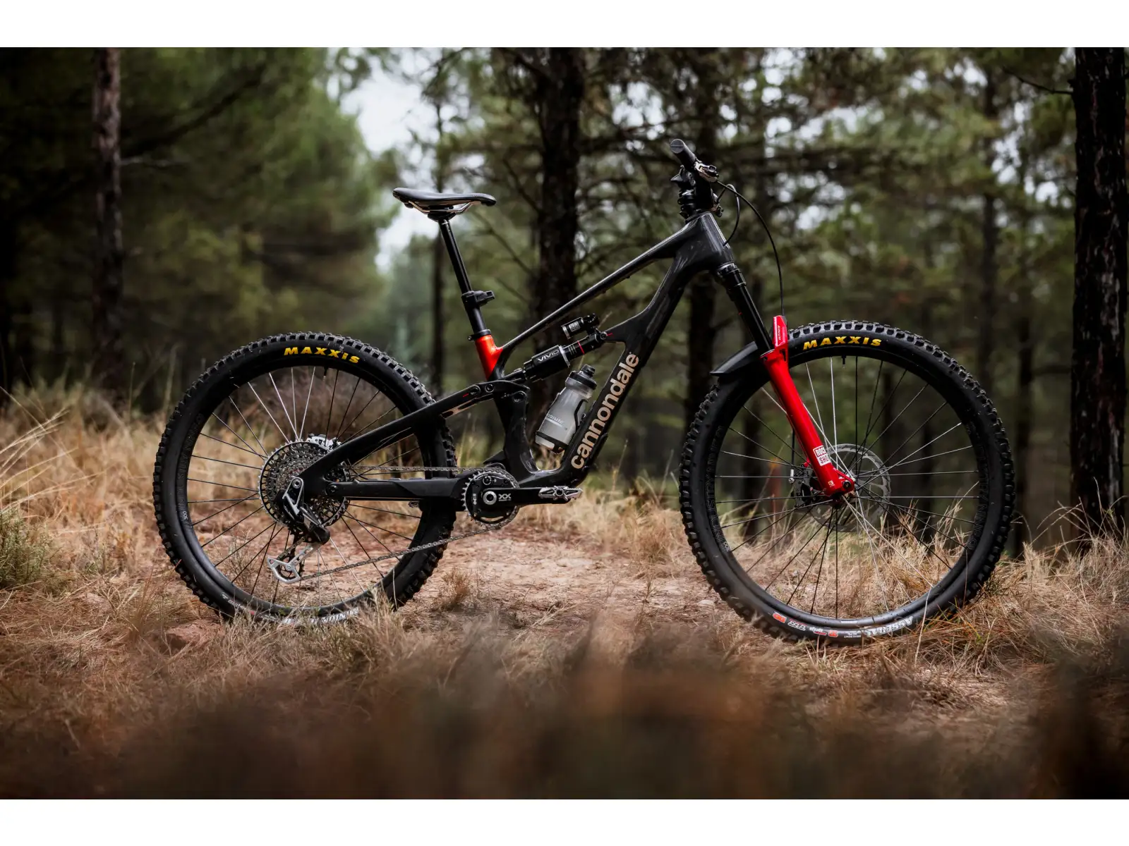 Cannondale Bad Habit 1 horské kolo RAW Carbon