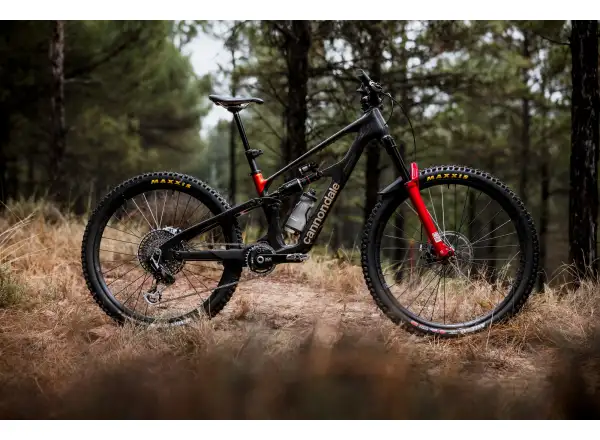 Cannondale Bad Habit 1 horské kolo RAW Carbon