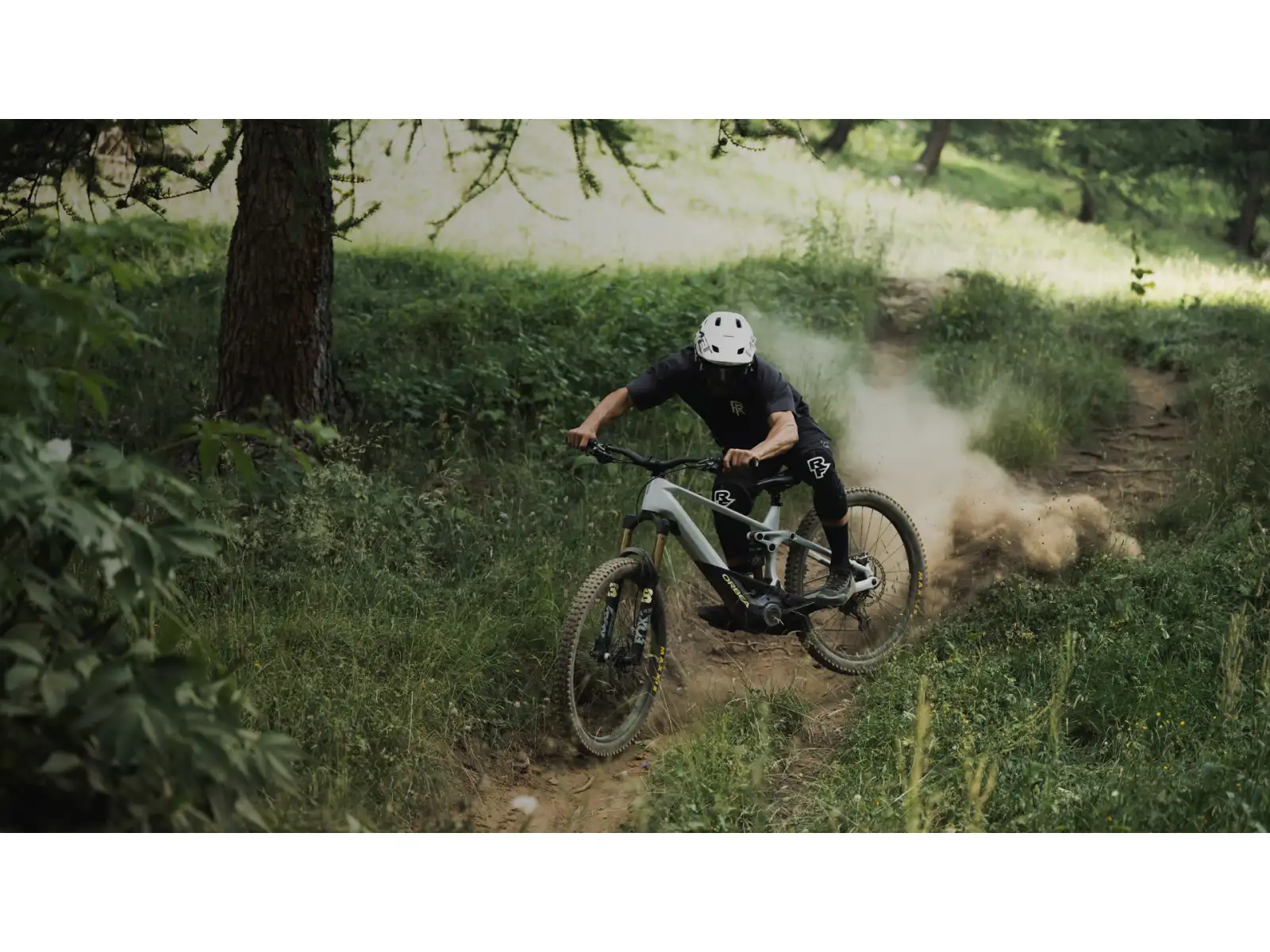 Orbea Wild M20 horské elektrokolo Halo Silver/Tanzanite Carbon