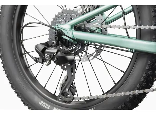 Cannondale Kids Trail Plus 20 dětské kolo Cactus Green