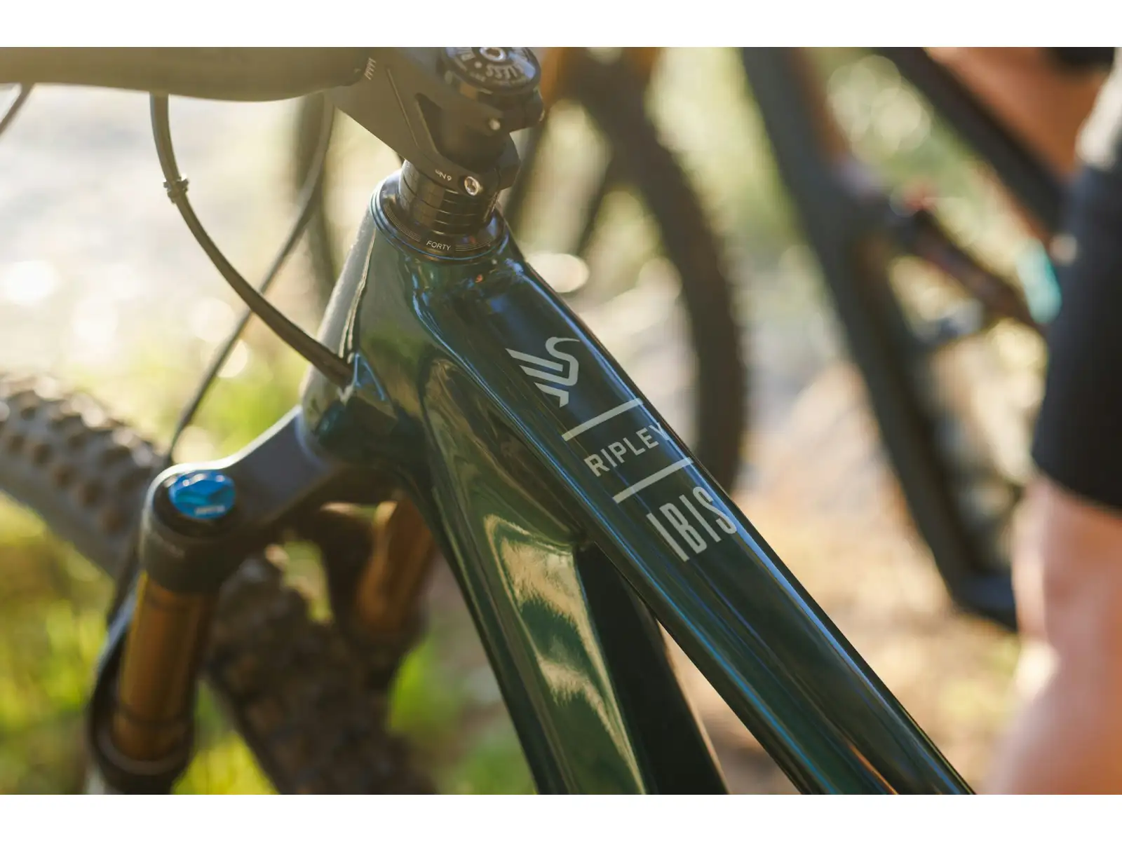 Ibis Ripley V5 Eagle 90 horské kolo Green Flash