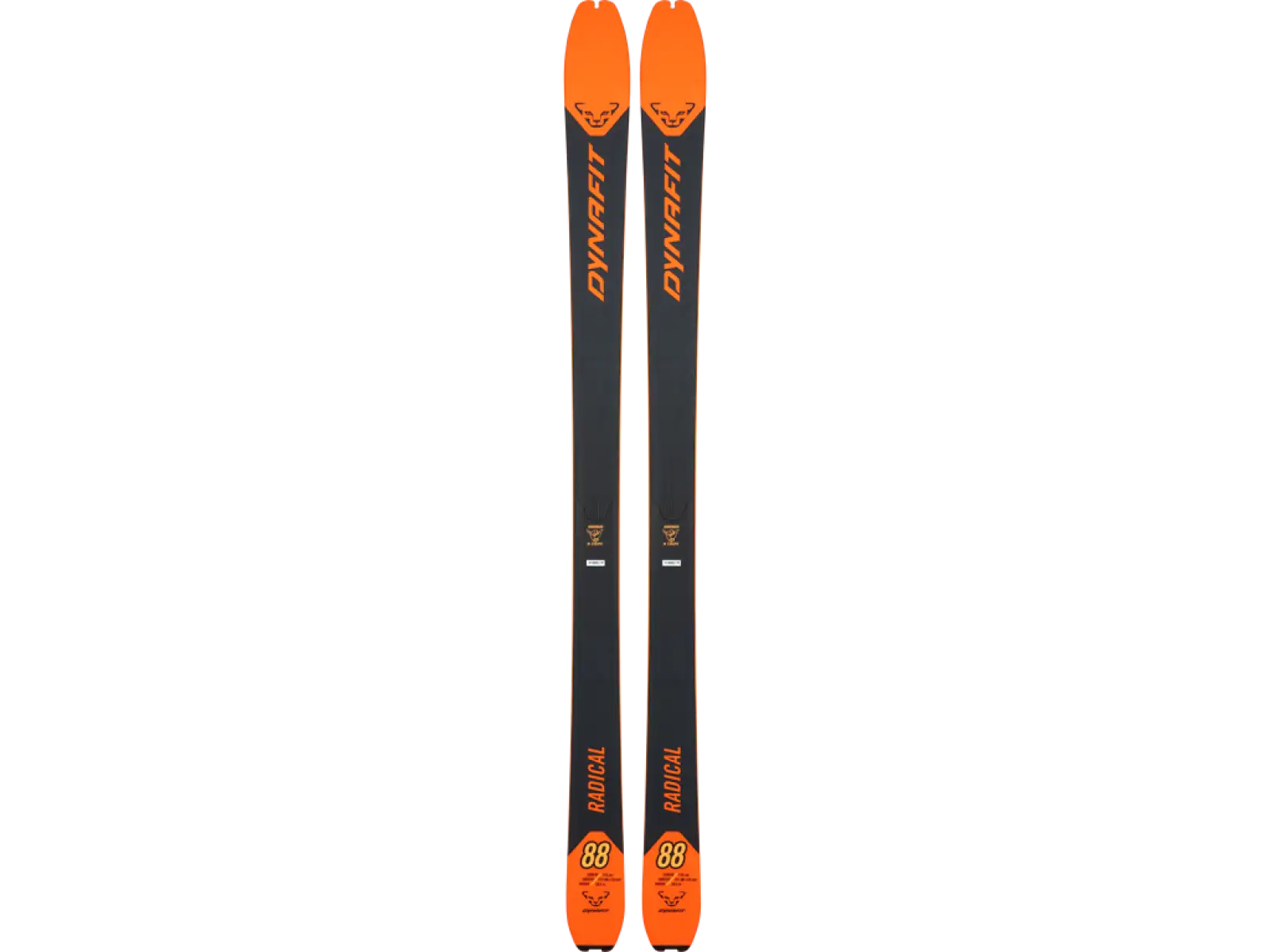 Dynafit Radical 88 Limited Edition skialpové lyže Dawn