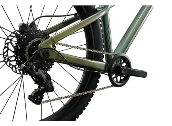 Liv STP 24 dětské horské kolo Alpine Green