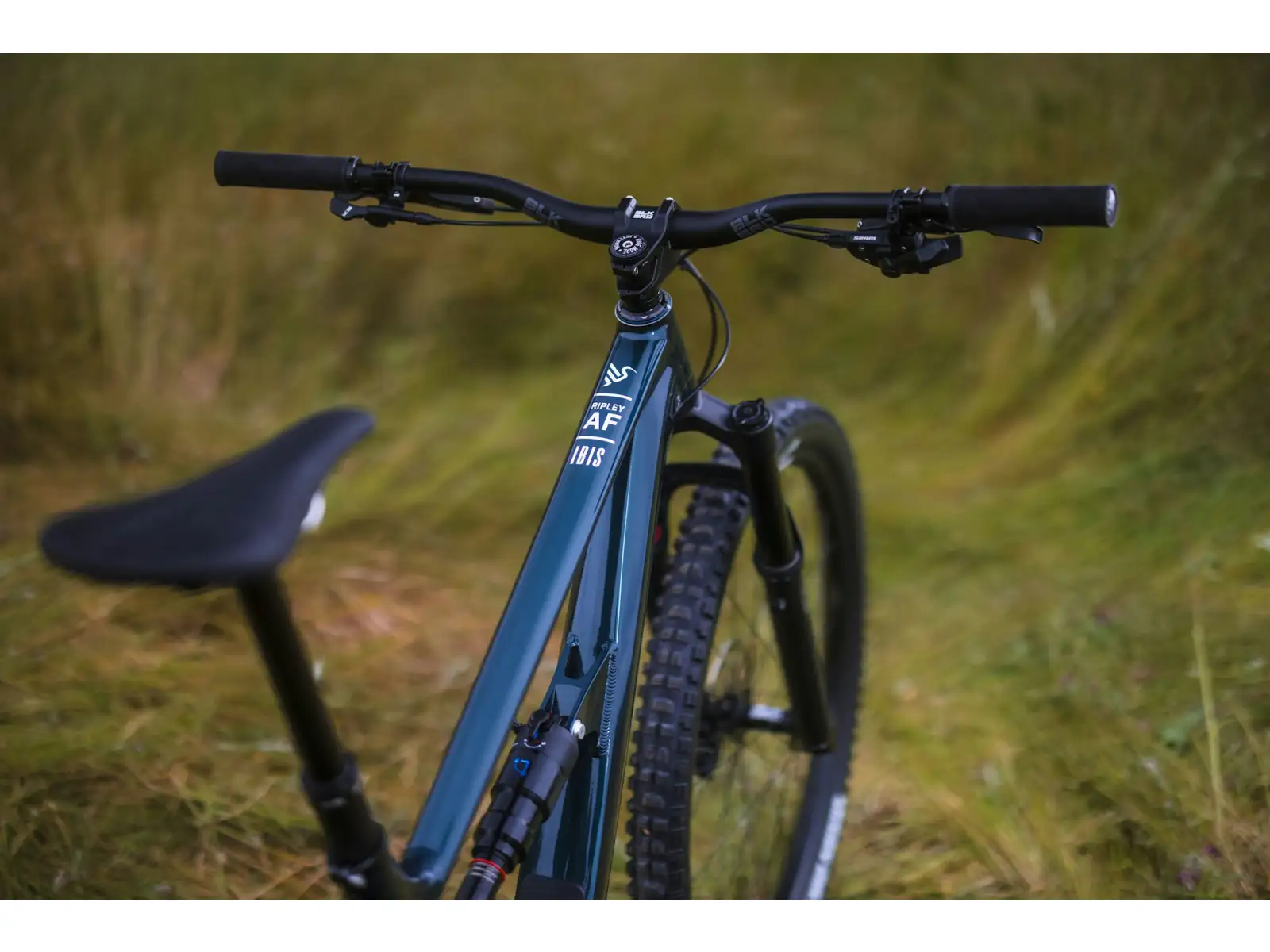 Ibis Ripley AF V2 Eagle 90 horské kolo Blue