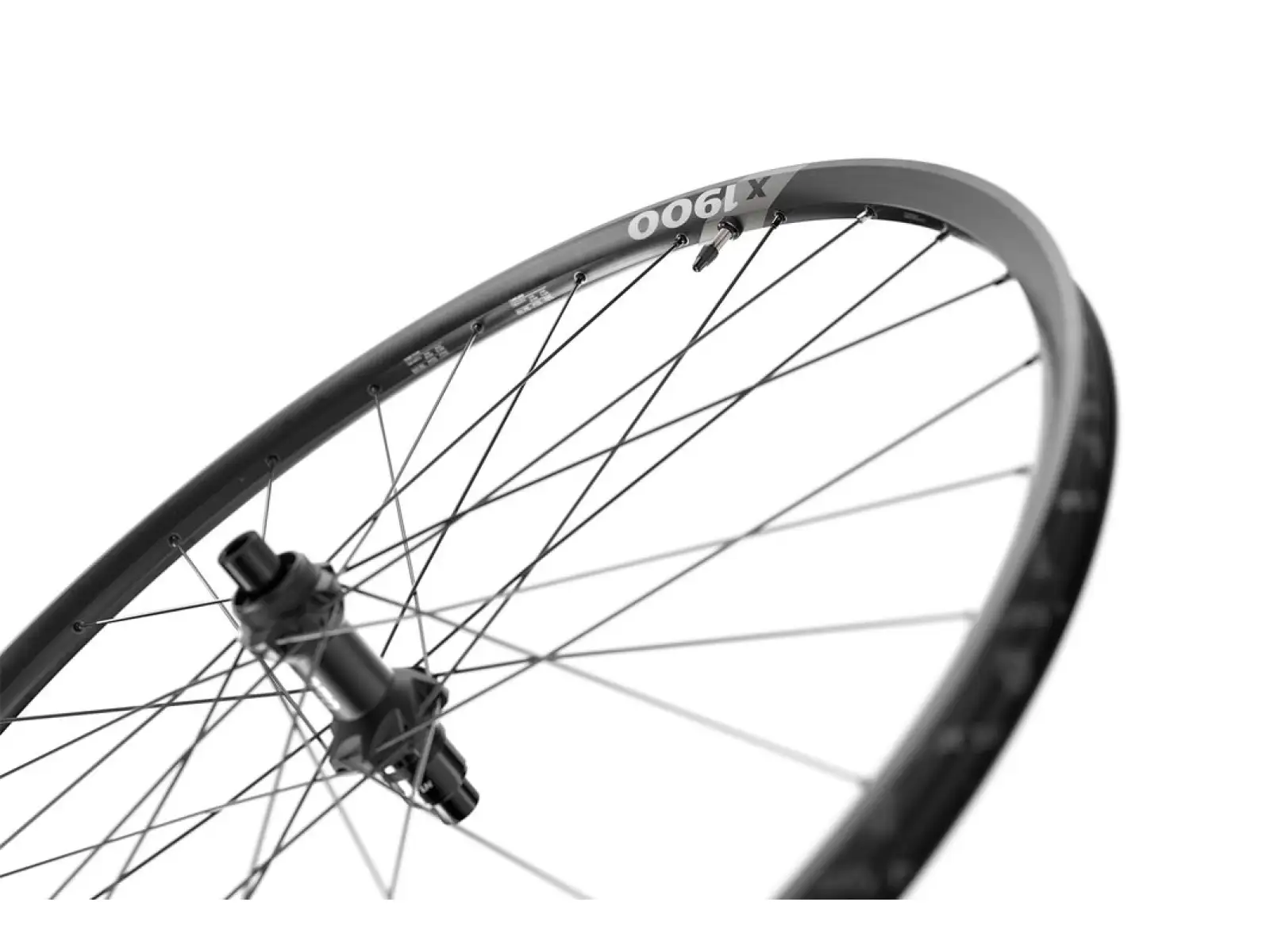 DT Swiss X 1900 Spline Boost 29" CL 25 mm vypletená kola ořech Sram XD