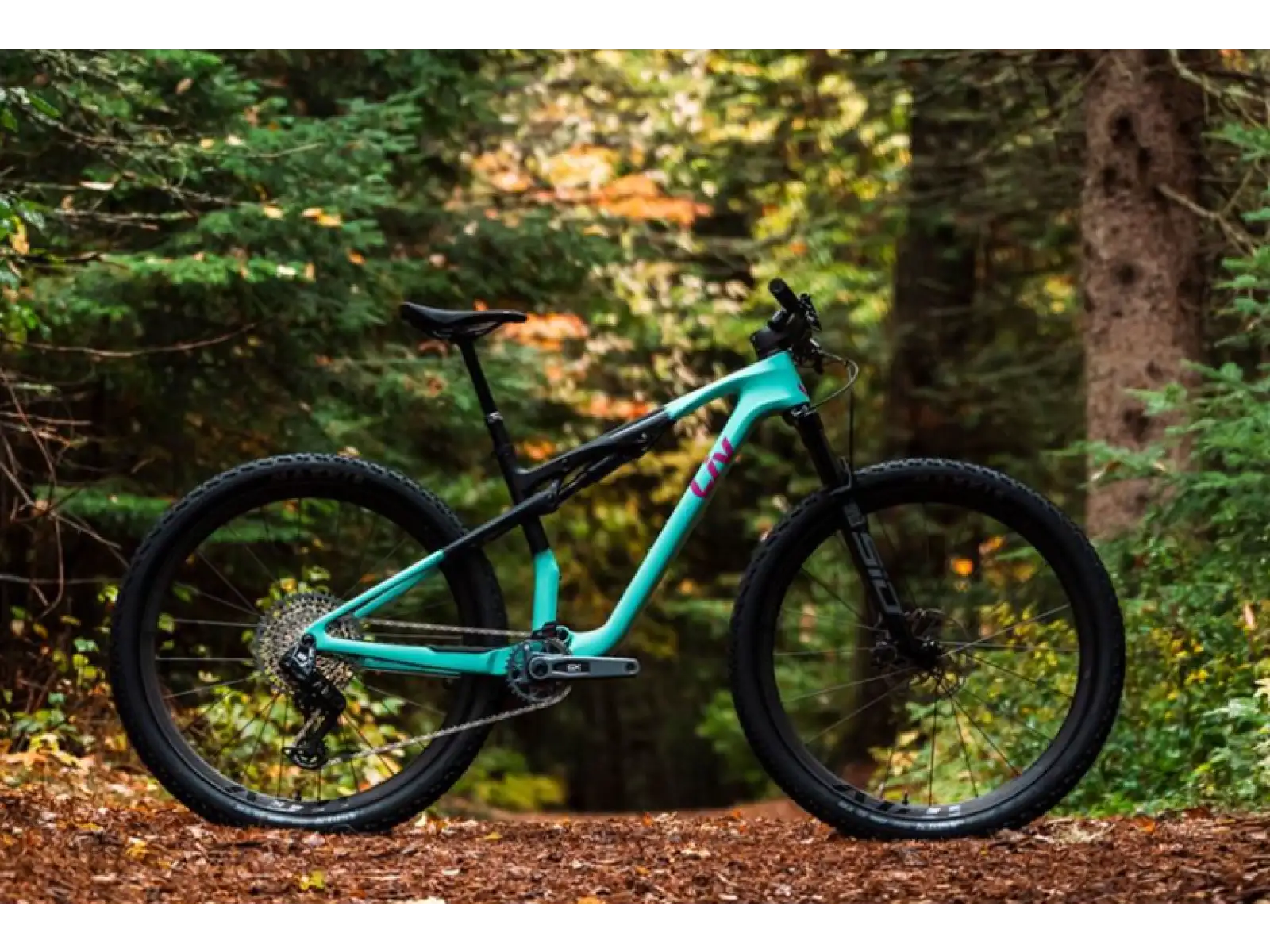 Liv Pique Advanced 1 horské kolo Lake Green / Black
