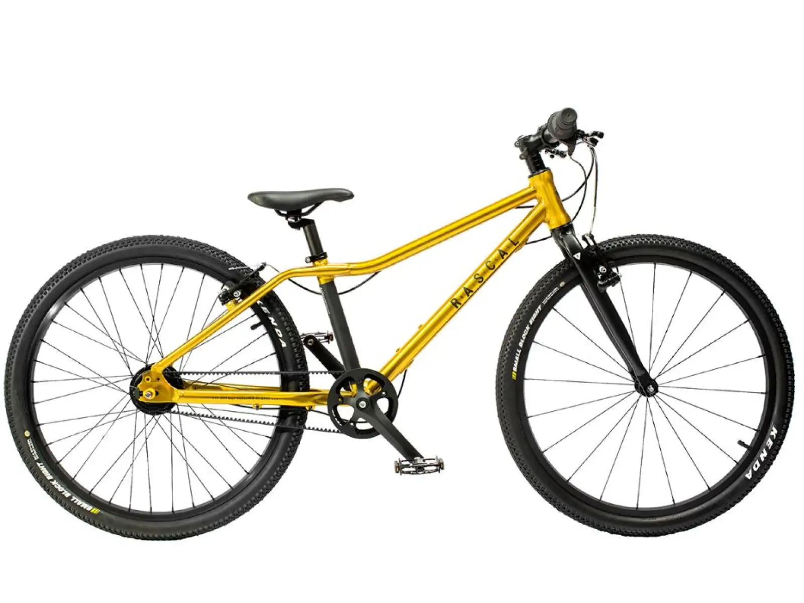 Rascal 24 7 sp. Shimano Nexus dětské kolo Gold
