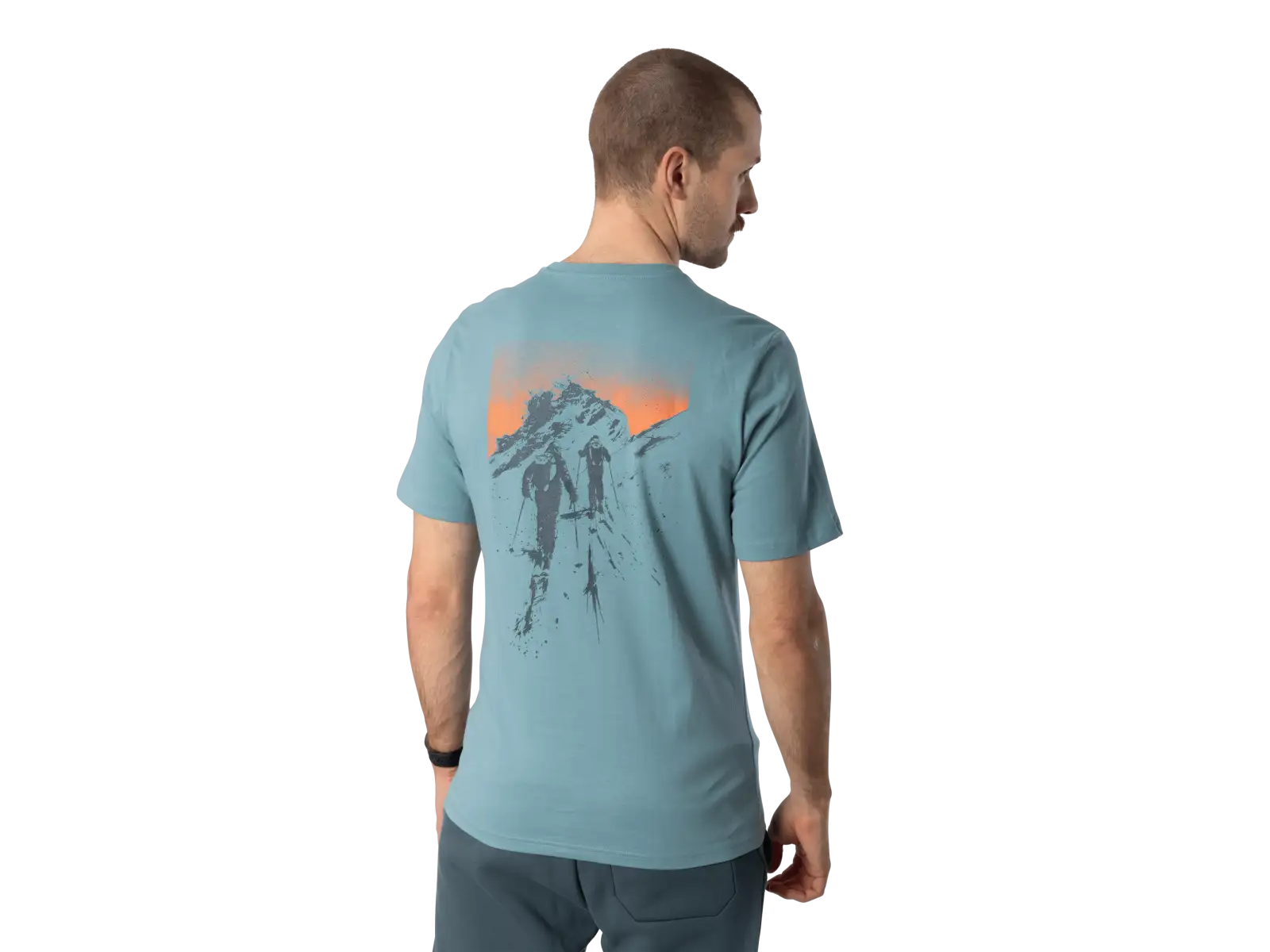 Dynafit Back Graphic Cotton pánské triko krátký rukáv Smoke Blue/Approach