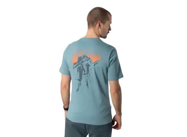 Dynafit Back Graphic Cotton pánské triko krátký rukáv Smoke Blue/Approach
