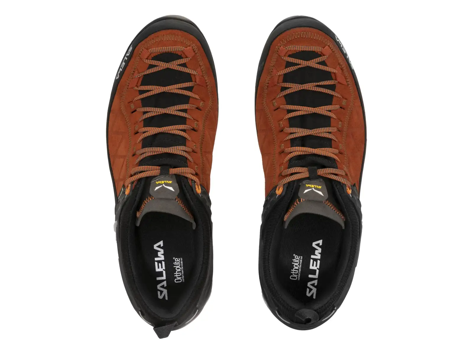 Salewa Mountain Trainer 2 GTX pánské trekové boty Autumnal/Black