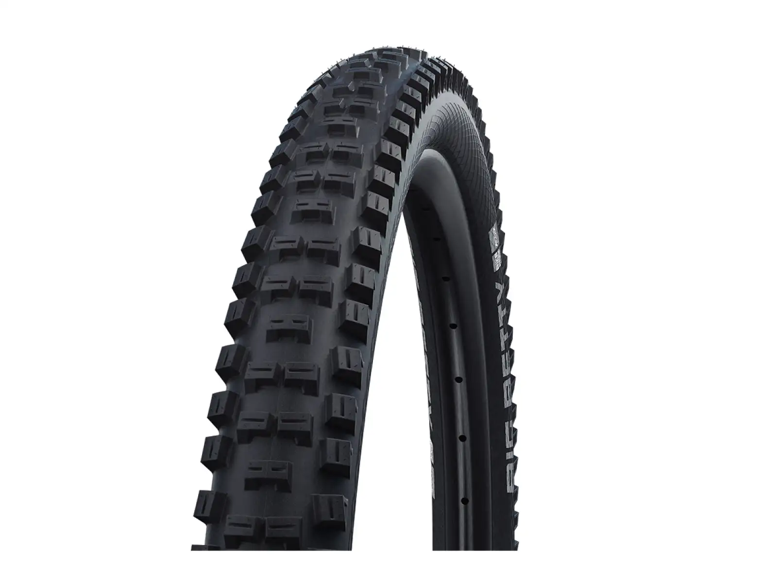 Schwalbe Big Betty Performance Addix 26x2,40" MTB plášť drát