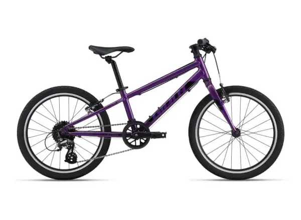 Giant ARX 20 Purple 2022 dětské kolo