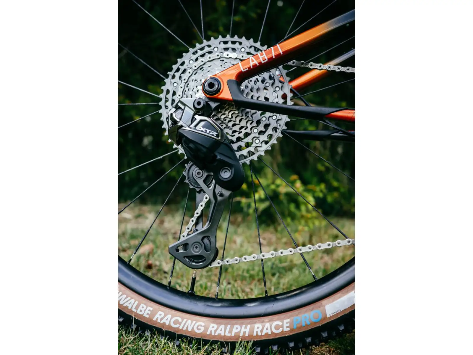 Cannondale Scalpel 29" LAB71 TEAM celoodpružené kolo Replica