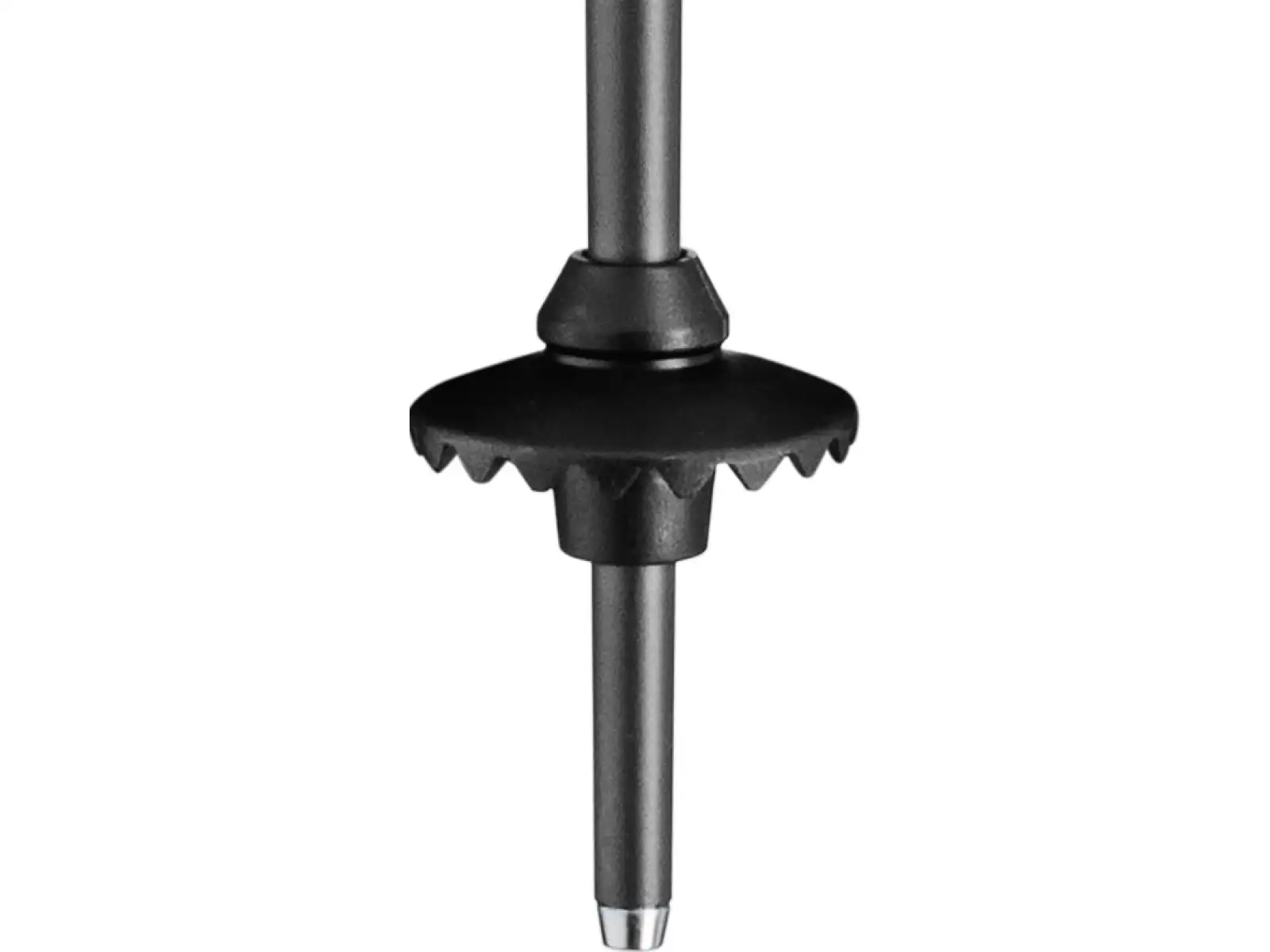 Leki Neolite sjezdové hole dark anthracite-black-white