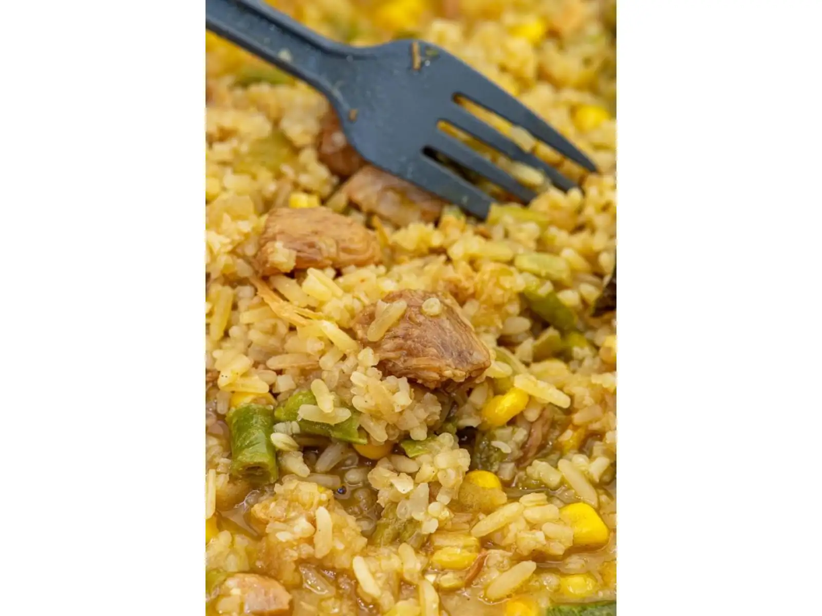 Summit To Eat dehydrované jídlo Smažená rýže s kuřecím masem a Teriyaki omáčkou 121 g