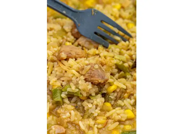 Summit To Eat dehydrované jídlo Smažená rýže s kuřecím masem a Teriyaki omáčkou 121 g