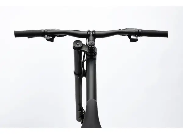 Cannondale Bad Boy 2 městské kolo Matte Black