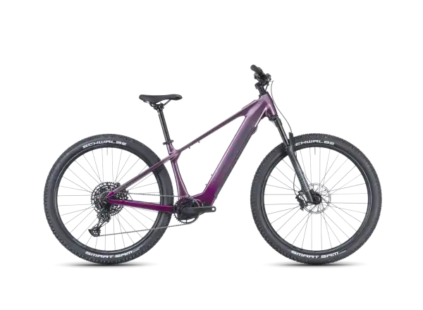 Crussis e-Fionna AX 9.12-M2S(600) horské elektrokolo