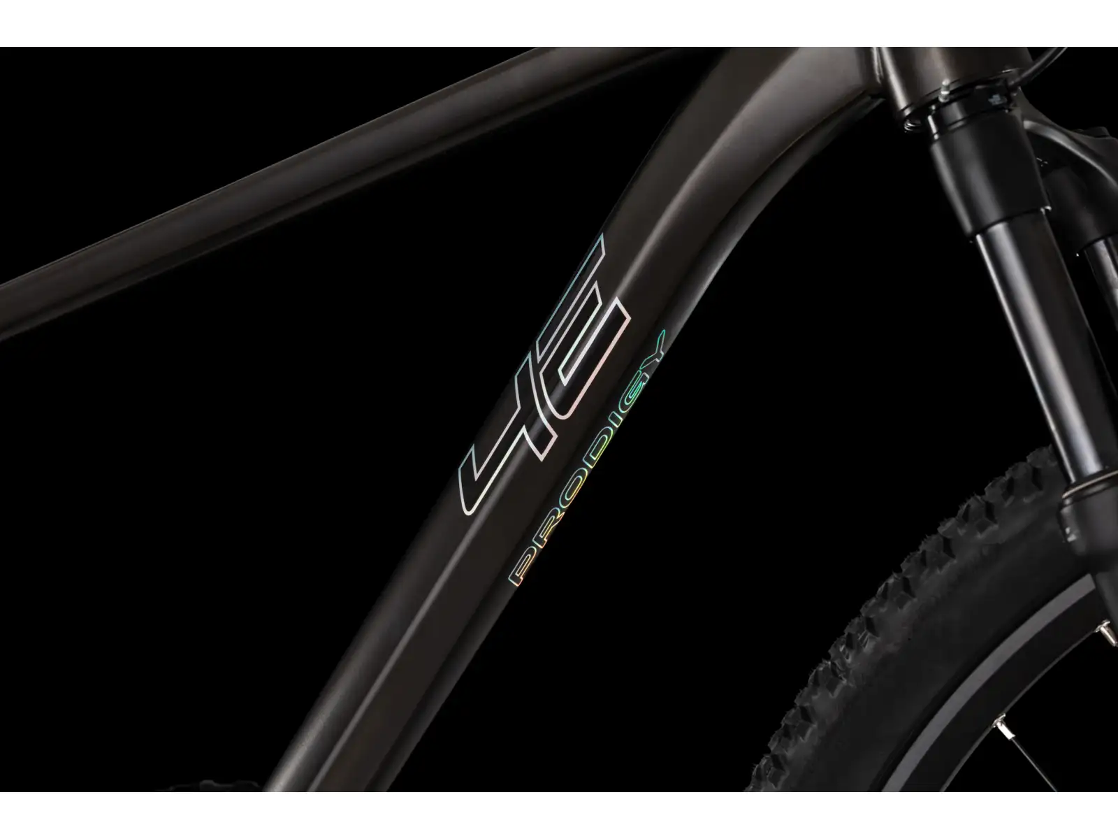 4Ever Prodigy Race 29" horské kolo Black/hologram