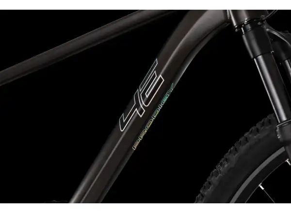 4Ever Prodigy Race 29" horské kolo Black/hologram