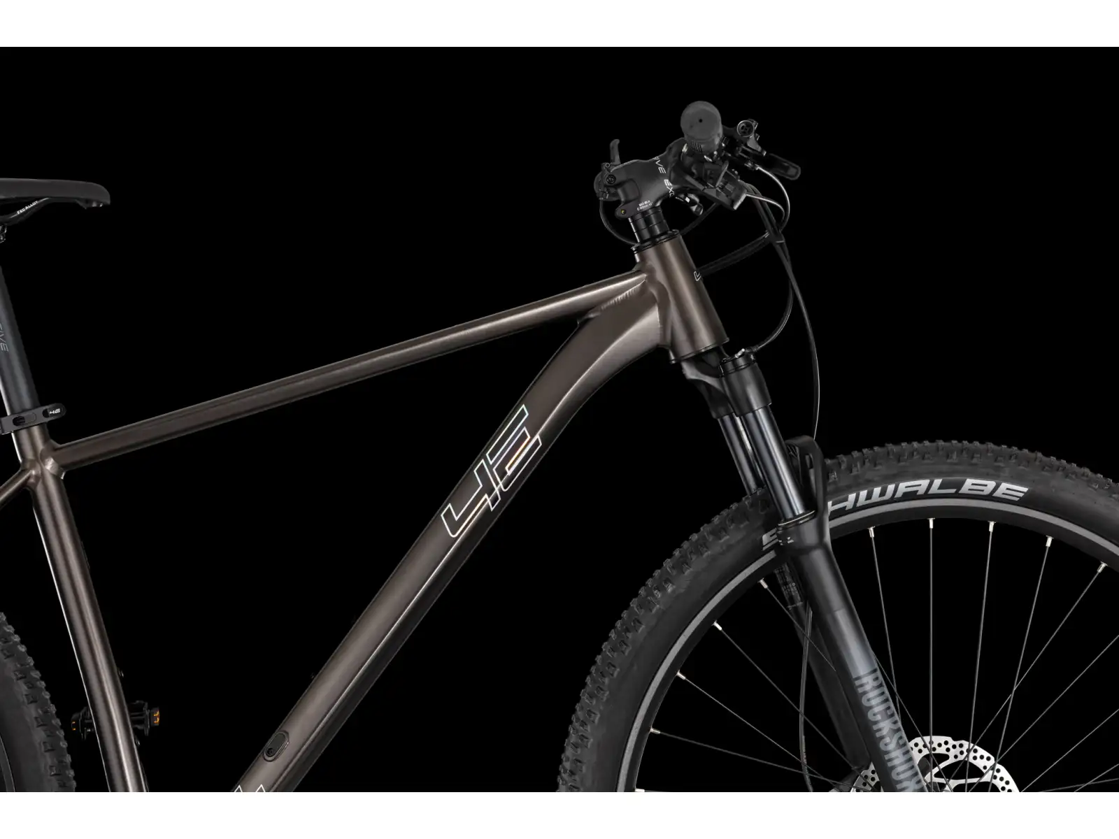 4Ever Prodigy Race 29" horské kolo Black/hologram