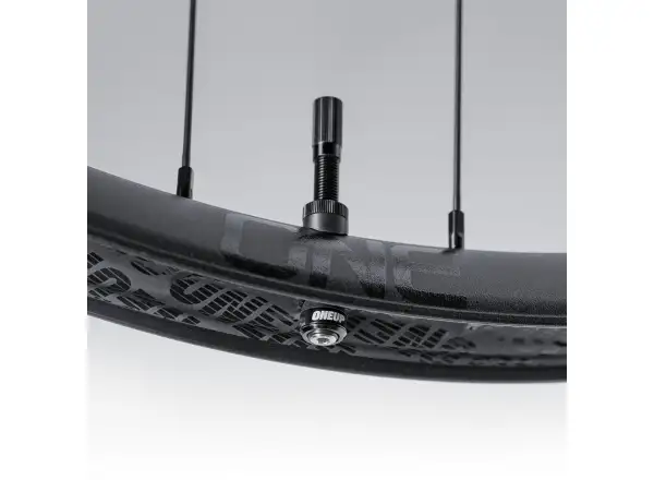 OneUp Alu vypletená kola 29" Sram XD ořech černá