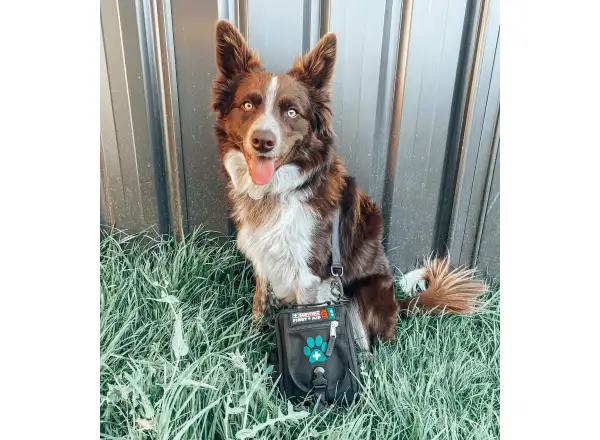 Survival First Aid Kit PET profesionální lékárnička