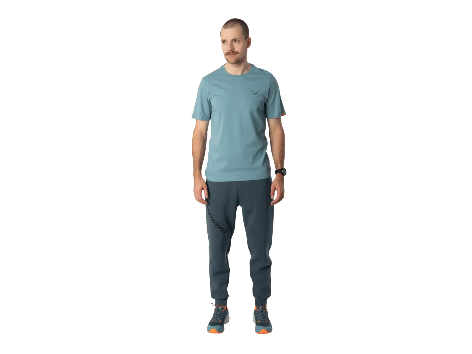 Dynafit Back Graphic Cotton pánské triko krátký rukáv Smoke Blue/Approach