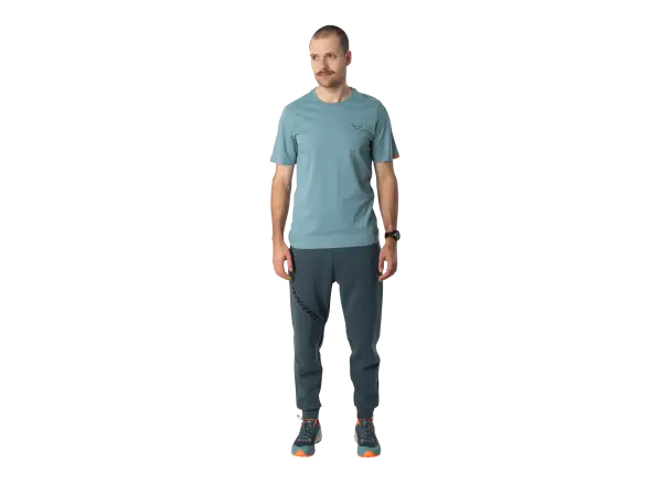 Dynafit Back Graphic Cotton pánské triko krátký rukáv Smoke Blue/Approach