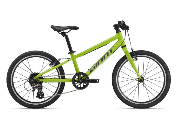 Giant ARX 20 dětské kolo Lime Punch