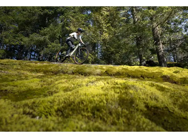 Liv Embolden 2026 horské kolo Pale Moss