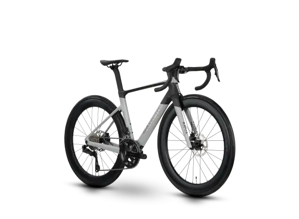 Raymon Arva Pro silniční kolo Grey/Carbon