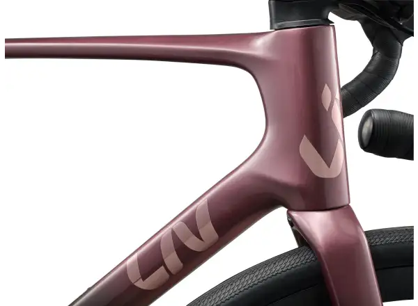 Liv Avail Advanced 1 silniční kolo Iron Rouge/Carbon