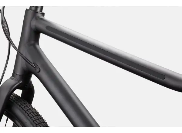 Cannondale Treadwell 2 Ltd fitness kolo Raw