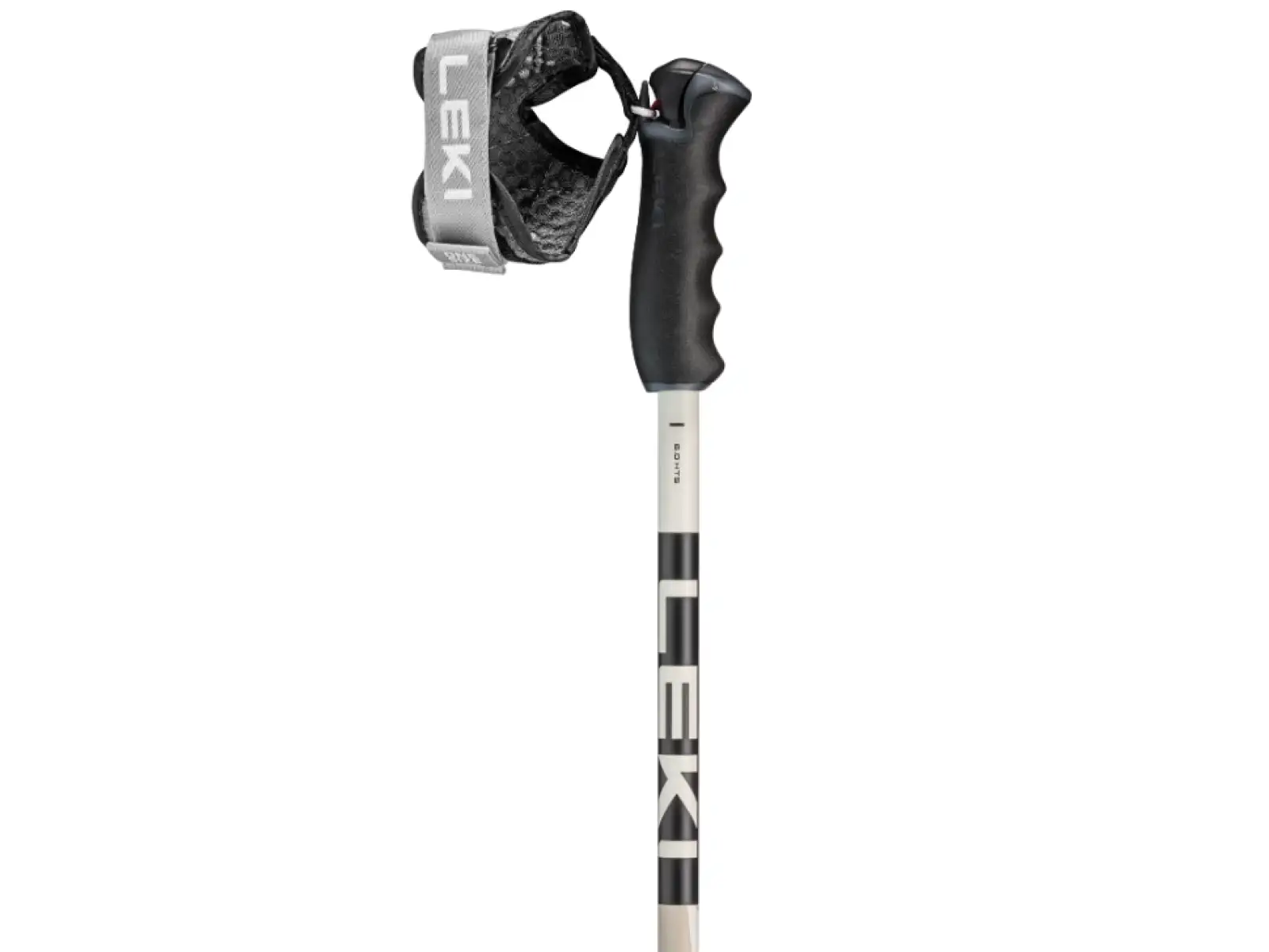 Leki Detect S Vario sjezdové hole Warm Grey Light/Warm Grey Dark/Black