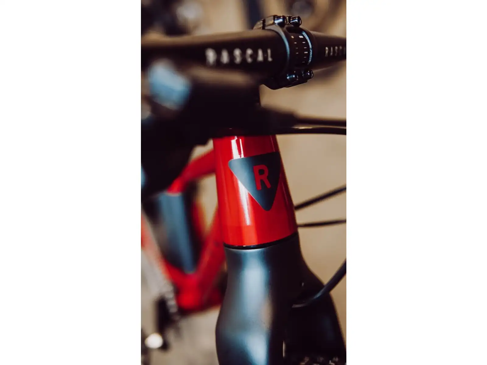 Rascal Wild 20 dětské kolo Ruby Red