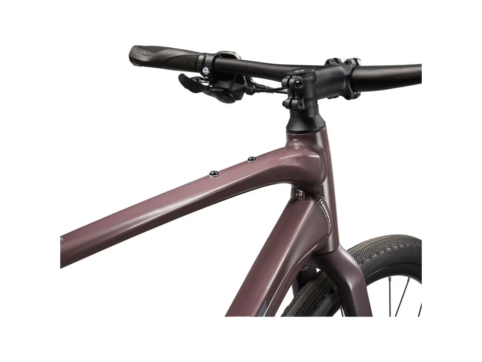 Giant FastRoad AR 3 trekingové kolo Charcoal Plum