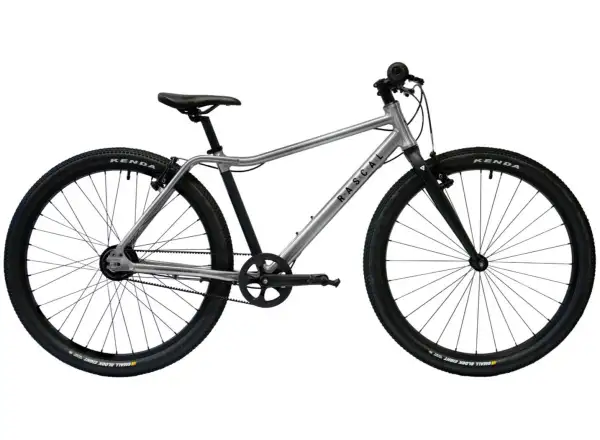 Rascal 26 3 sp. Shimano Nexus dětské kolo Titanium