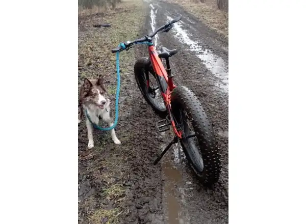 Rock Machine Avalanche INT e70-26 fatbike elektrokolo Gloss Metallic Orange/Silver