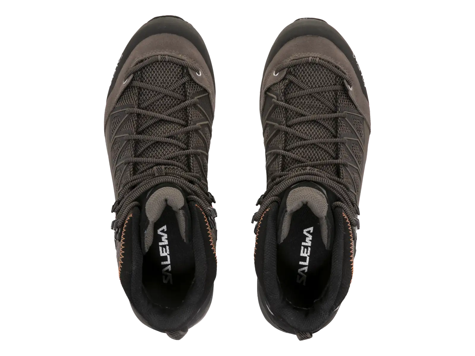 Salewa MS MTN Trainer Lite Mid Gore-Tex pánská obuv Bungee Cord/Black