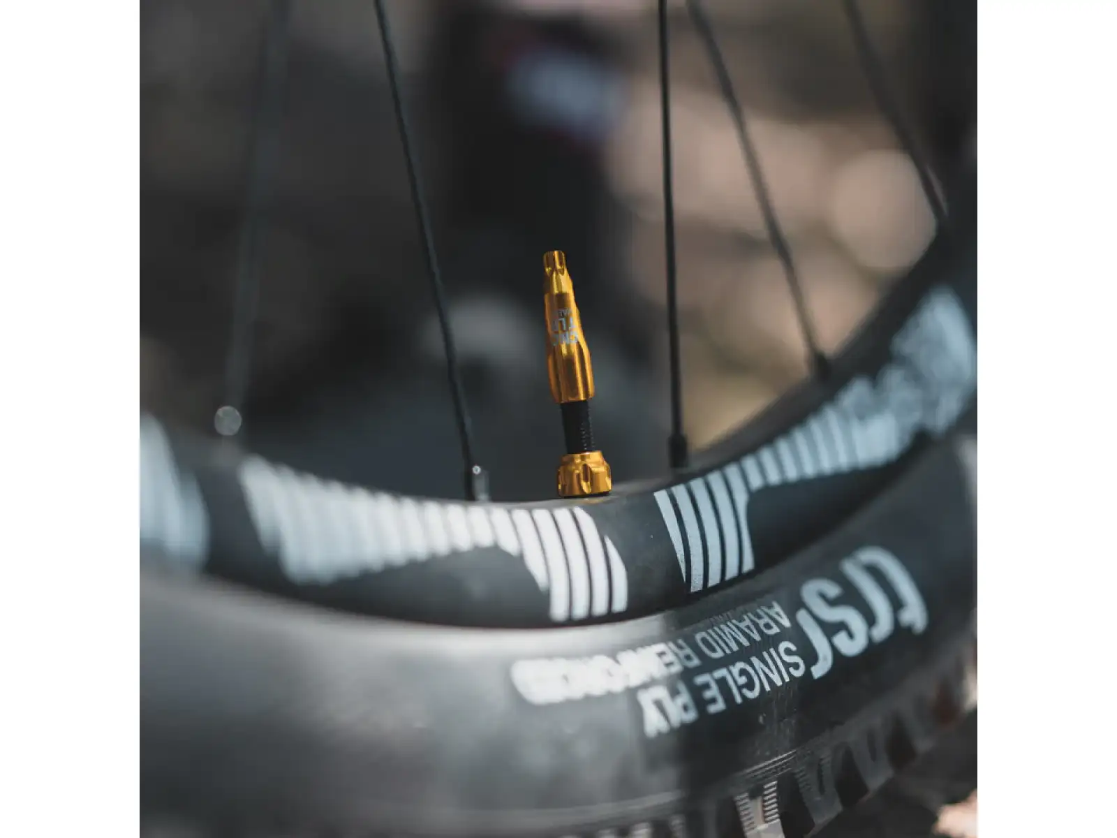 Lezyne CNC TLR čepička ventilku silver