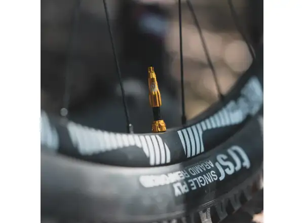 Lezyne CNC TLR čepička ventilku silver