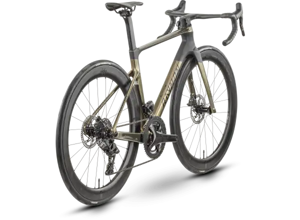 Raymon Arva Elite 26S Record silniční kolo carbon/champagne